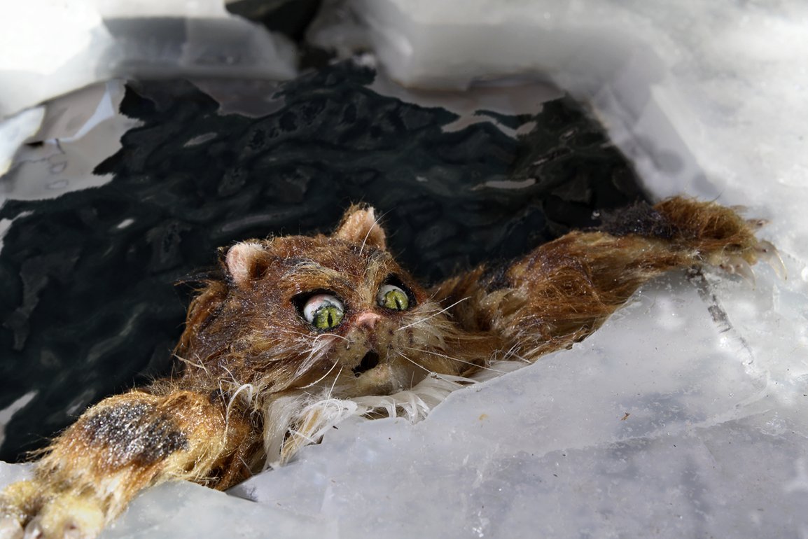 PEDRO Y EL LOBO, LIVE + RELATOS DE NUESTROS PUEBLOS EN ARPILLERAS