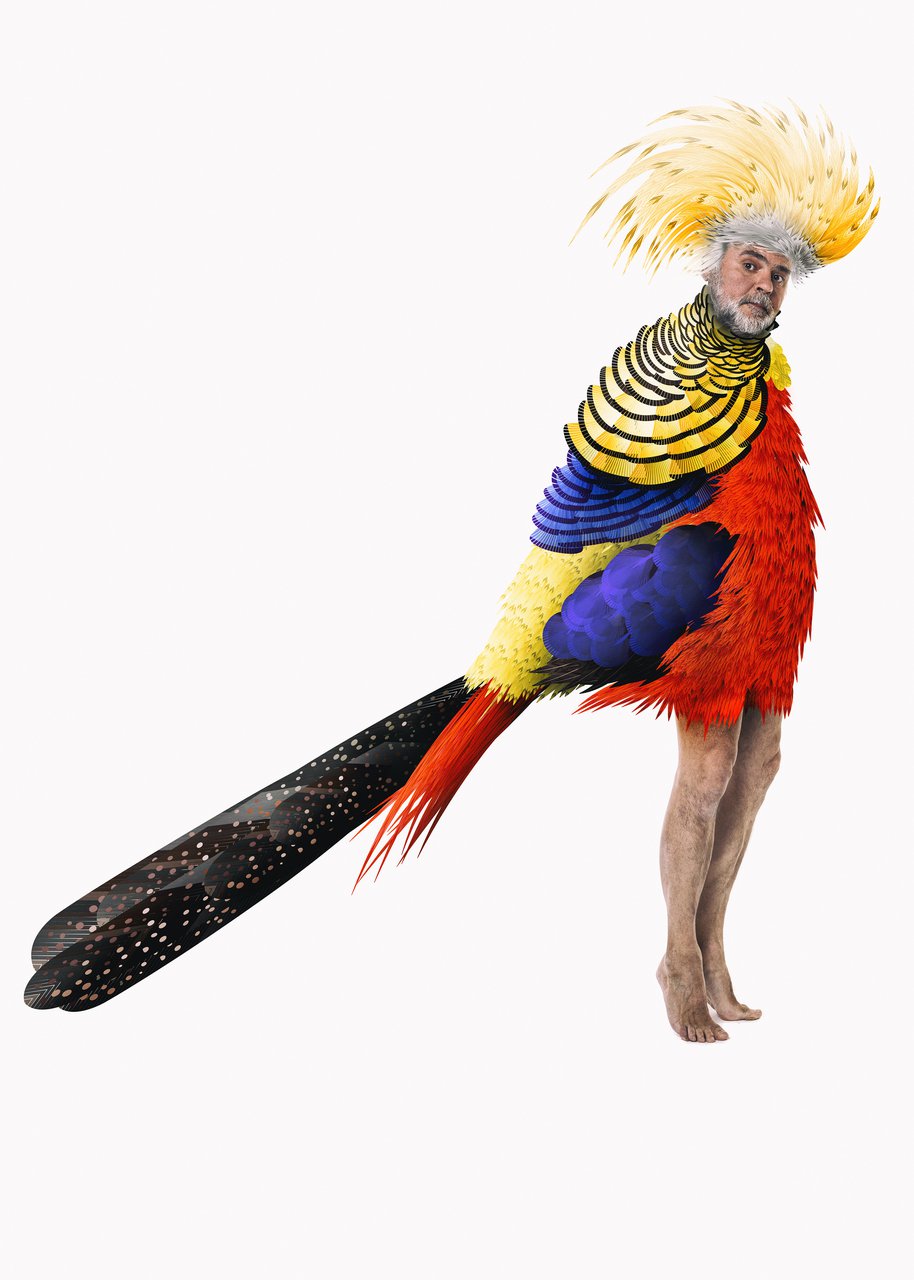 Ornithes_Karathanos_CRED_Beetroot for Onassis Stegi.jpg